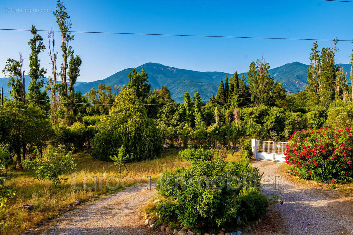 Maison à LAROQUE-DES-ALBERES