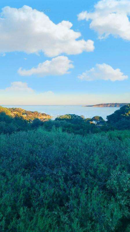 Villa face à la mer - Domaine privé de Cala Rossa - photo 21