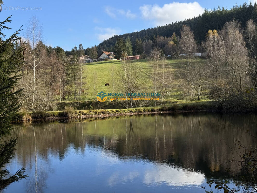 Maison à LE VAL-D&#039;AJOL