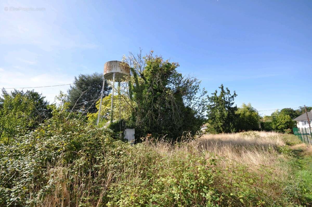 Terrain à BRUYERES-LE-CHATEL
