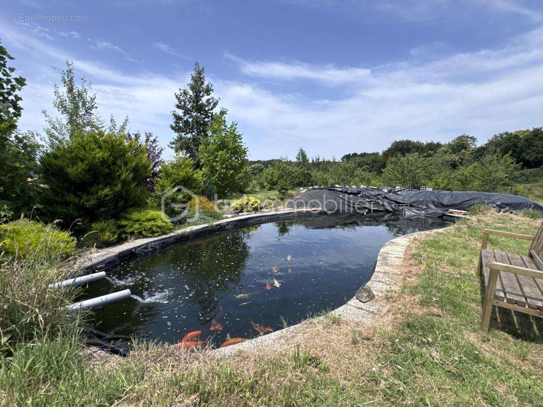SAINT-VOUGAY – Maison familiale de 166 m² sur 4 100 m² de terrain - photo 19