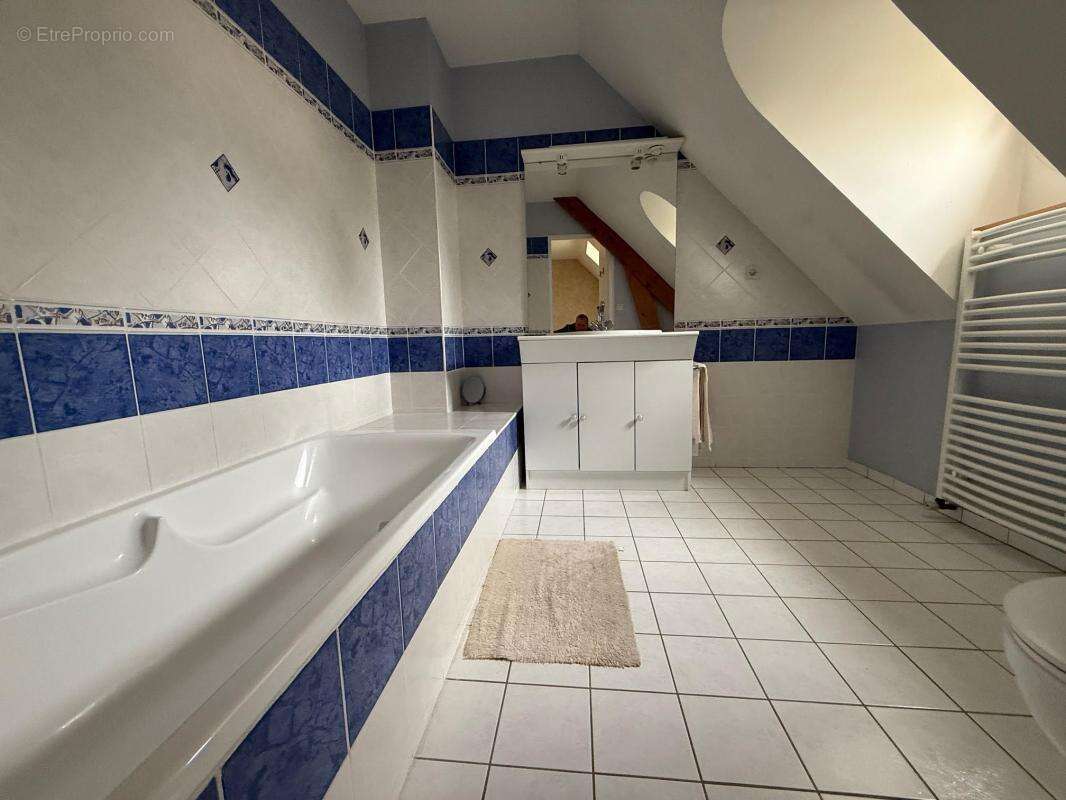 Maison à SAINT-JEAN-LE-BLANC