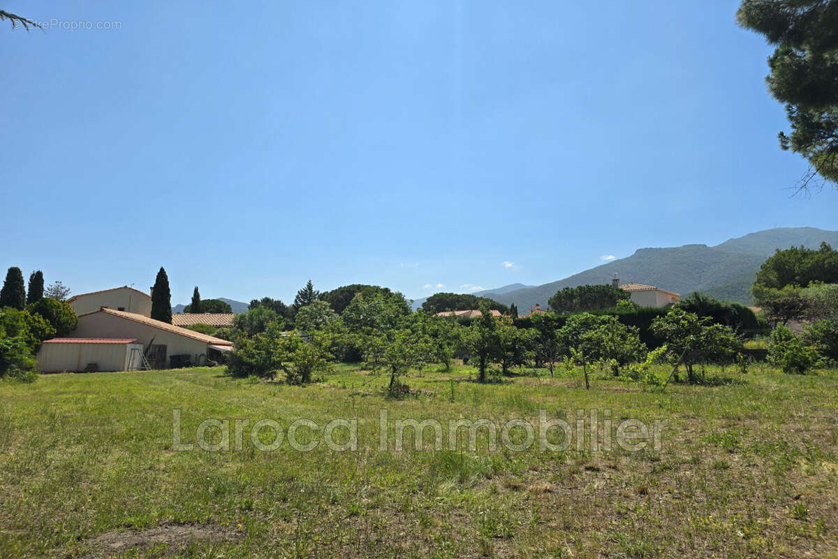 Terrain à LAROQUE-DES-ALBERES