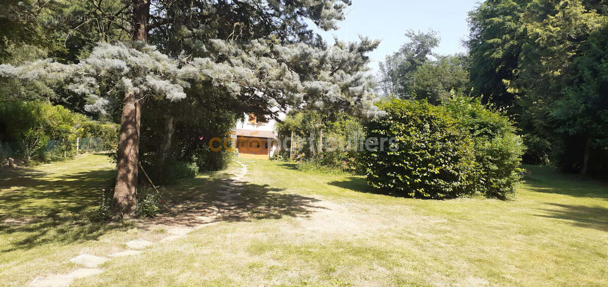Maison à CHATEAU-RENARD