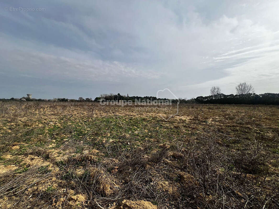 Terrain à MARSILLARGUES