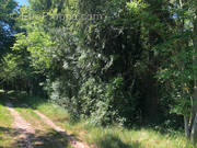 Terrain à VILLENEUVE-SUR-BELLOT