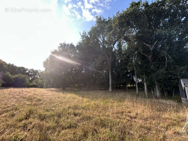 Erquy - les hopitaux - photo 20