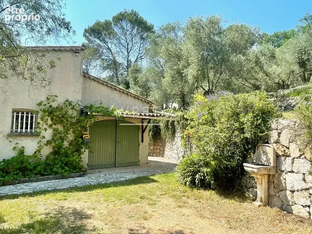 Charmante propriété au cœur d'une oliveraie - Tourrettes-sur-Loup - photo 16