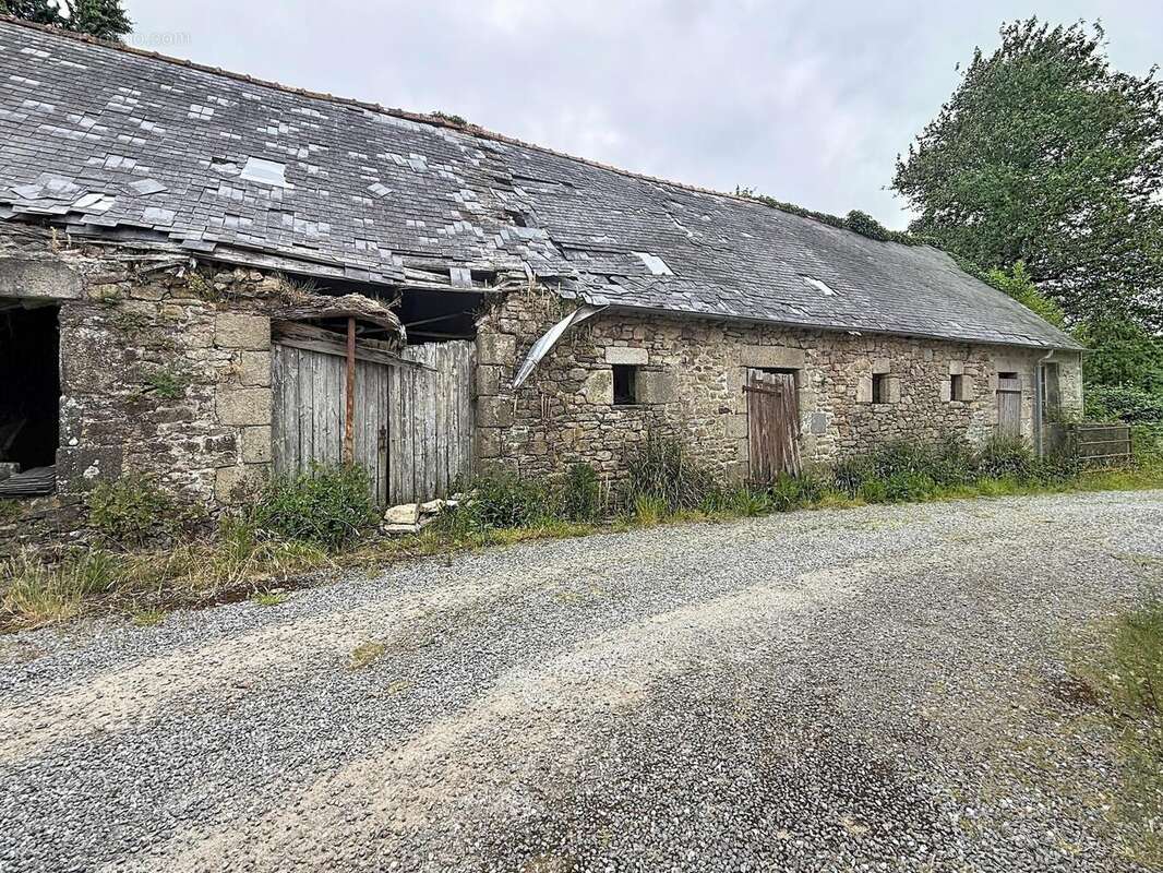 Photo 7 - Maison à GUILERS