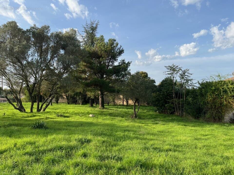 Photo Terrain à Bollene au prix de 56 500€