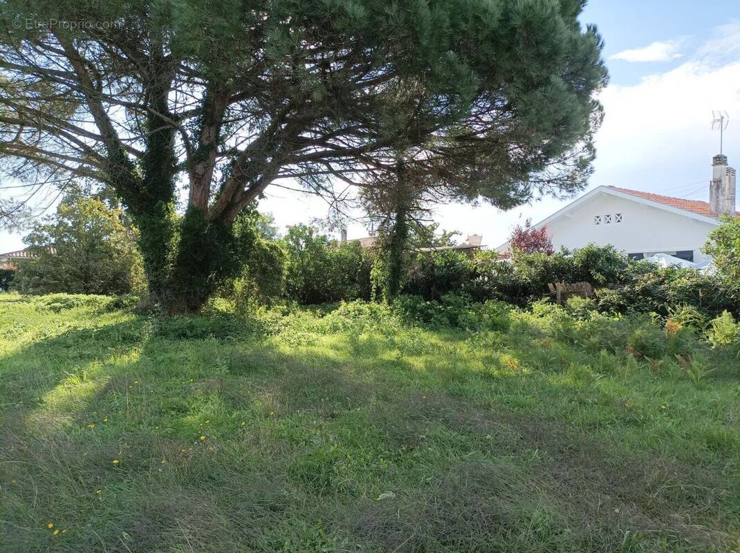 Terrain à BISCARROSSE