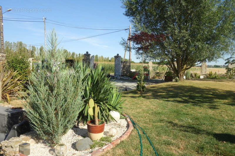 Maison à LA FERTE-SOUS-JOUARRE