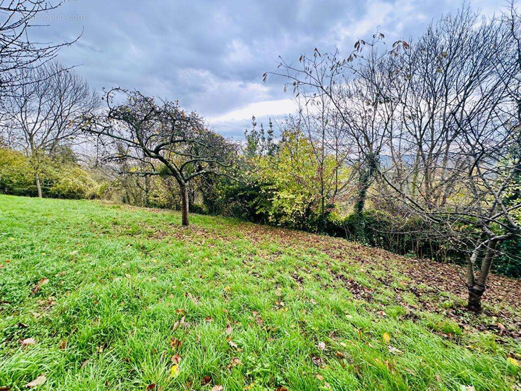 Terrain à MANNEVILLE-LA-PIPARD