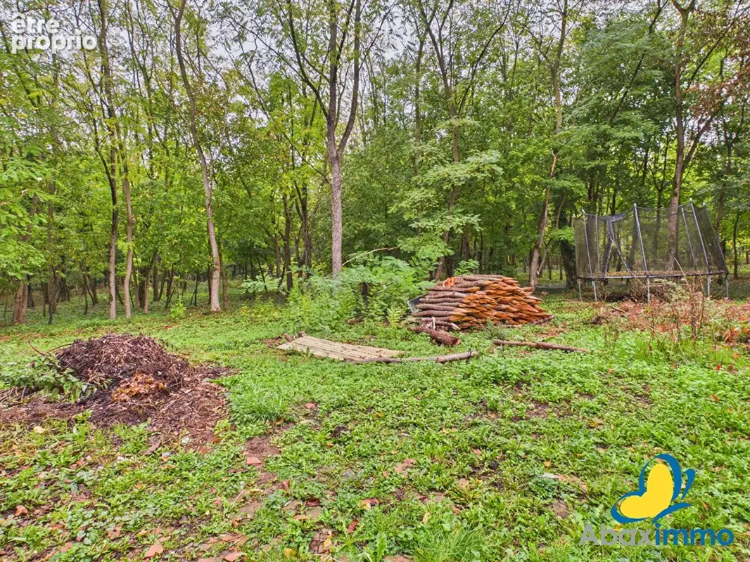 Maison 3 chambres à vendre à 5 min D'Argentan 61200 - photo 11