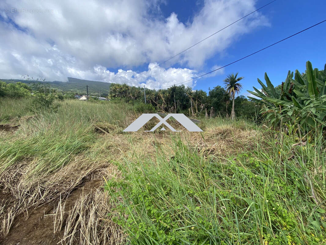 Terrain à SAINT-JOSEPH