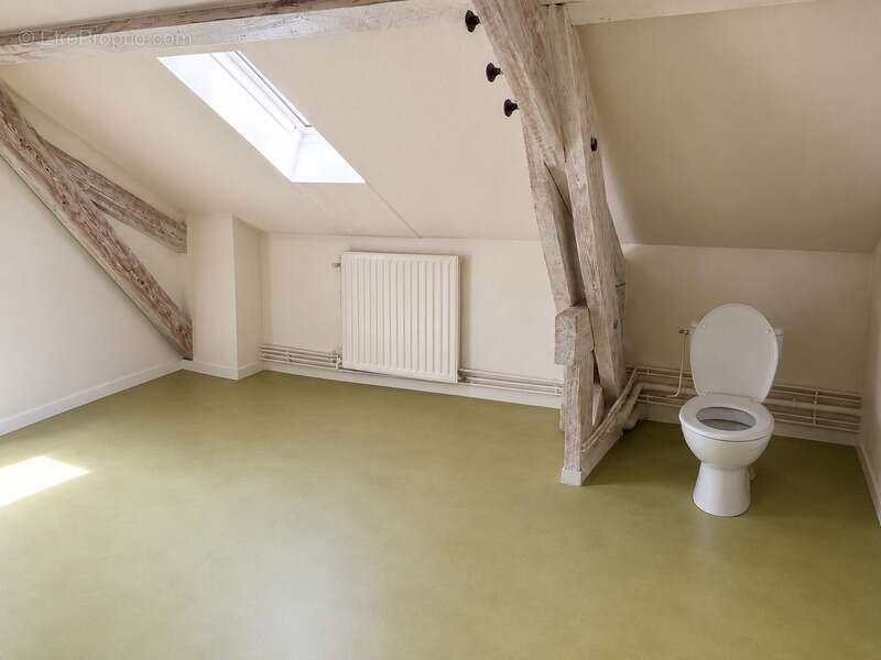 Grand appartement familial de 206 m2 au sol - Avenue Garibaldi, Limoges - photo 20