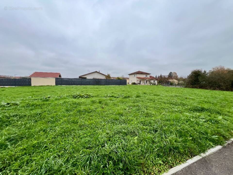 Terrain à CRAS-SUR-REYSSOUZE