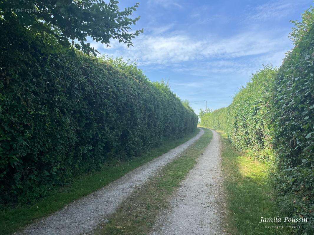 Maison de Campagne (137 m2 - 7 pièces) NOYANT-VILLAGES (49) - photo 21