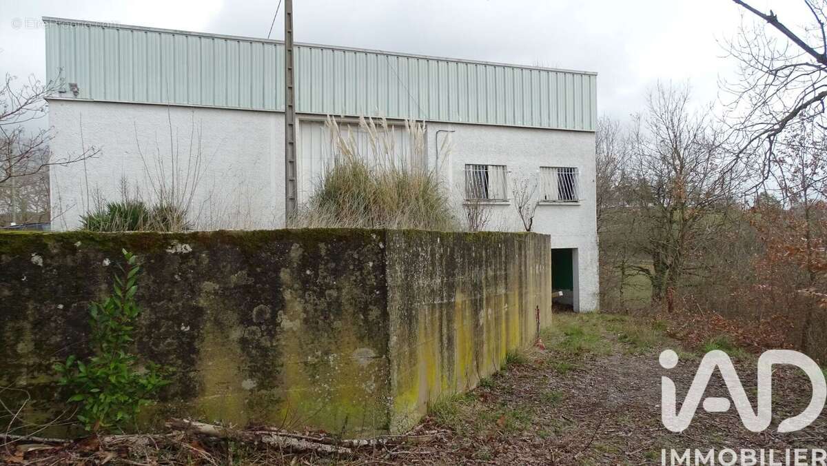 Photo 4 - Appartement à PUYLAURENS