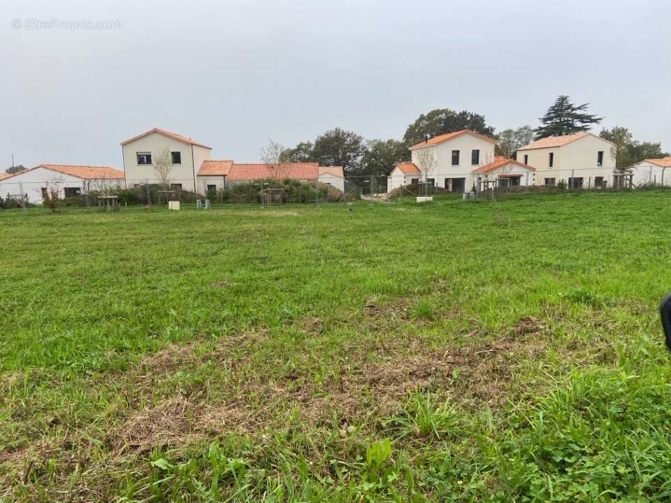 Terrain à SAINT-PERE-EN-RETZ