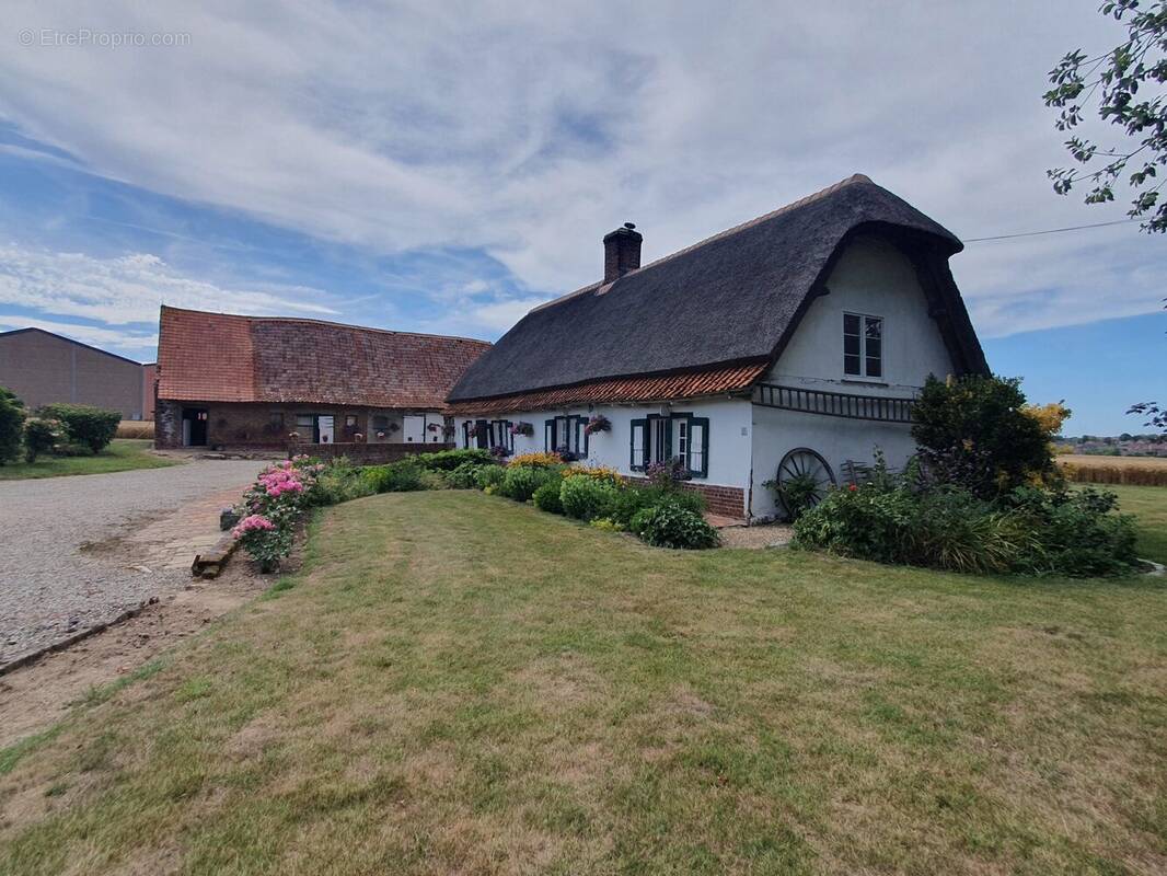 Corps de ferme flamand Sercus - Extérieurs vue 1 - Maison à SERCUS