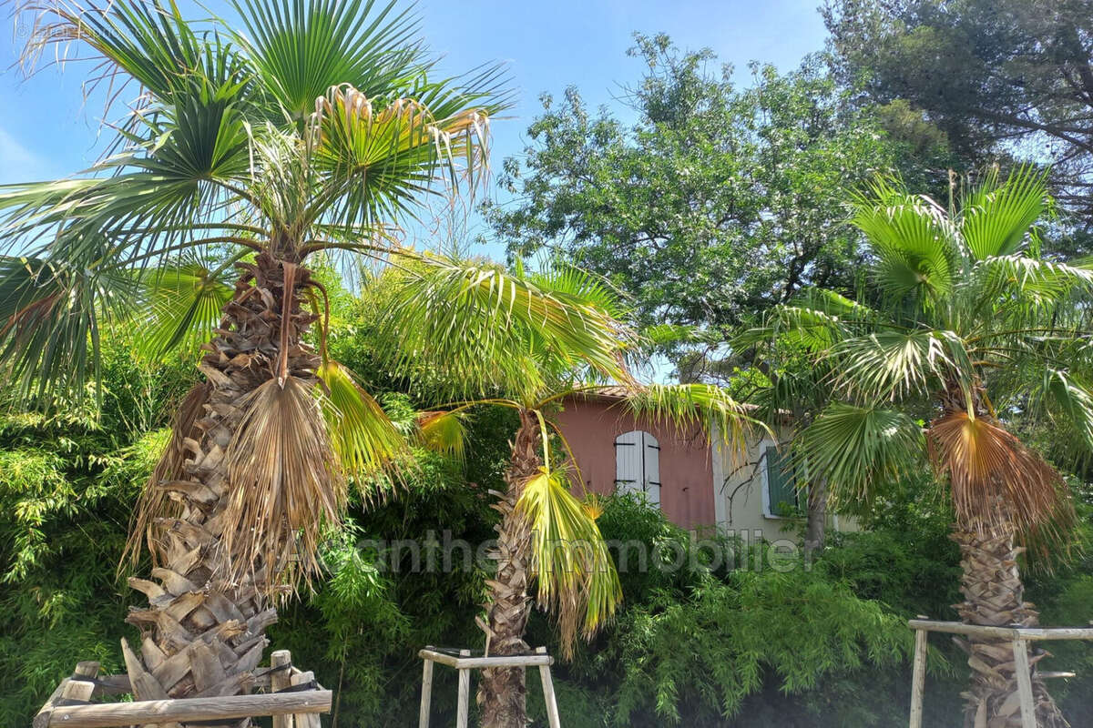 Appartement 60 m² à Montpellier  - photo 2
