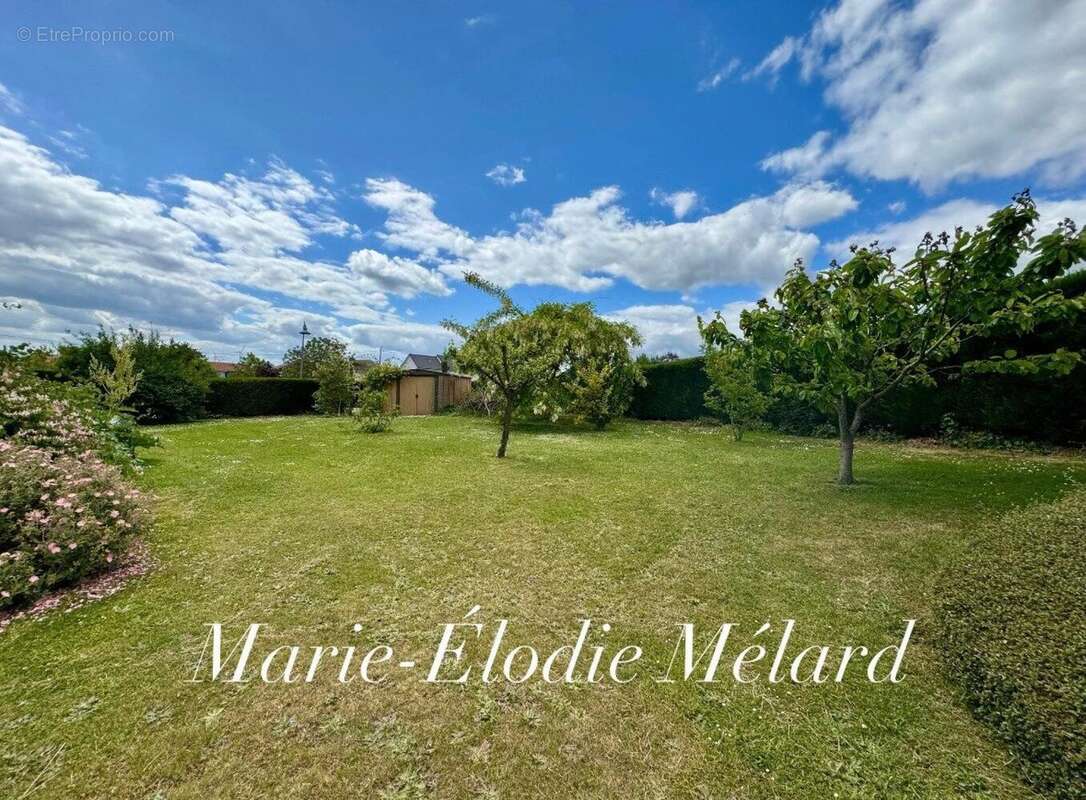 Photo 6 - Maison à COSNES-ET-ROMAIN