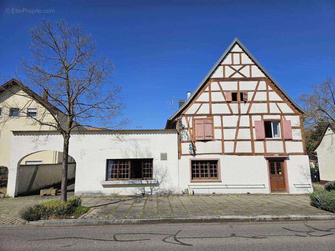 Appartement à OTTMARSHEIM