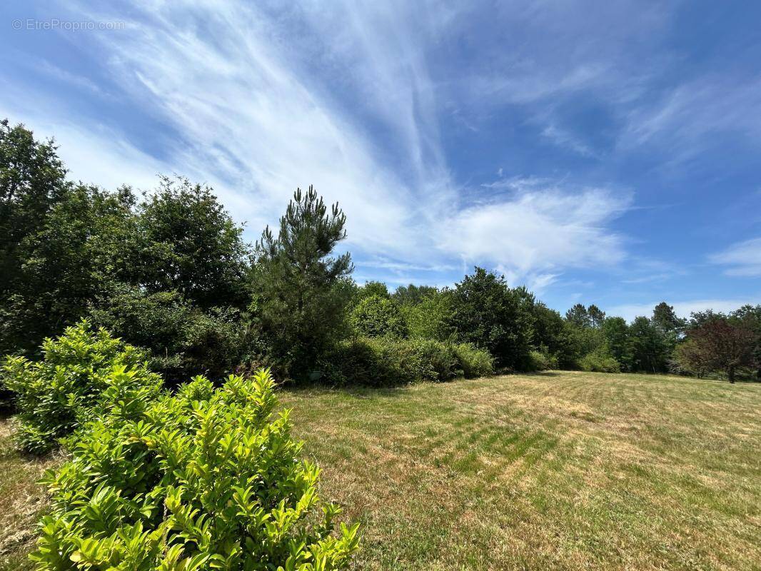 Terrain à VAUNAC