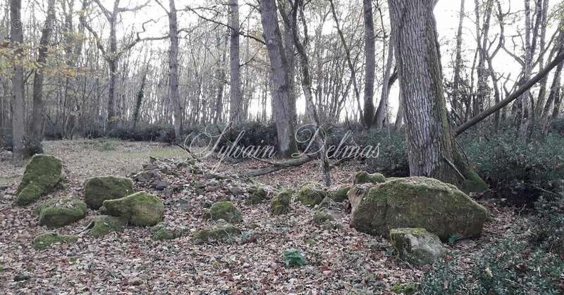 Propriete à vendre 50 pièces proche de TOURS (37) - photo 22