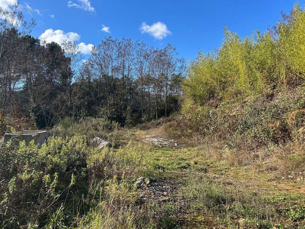 Photo 6 - Terrain à SAINTE-CECILE-D&#039;ANDORGE