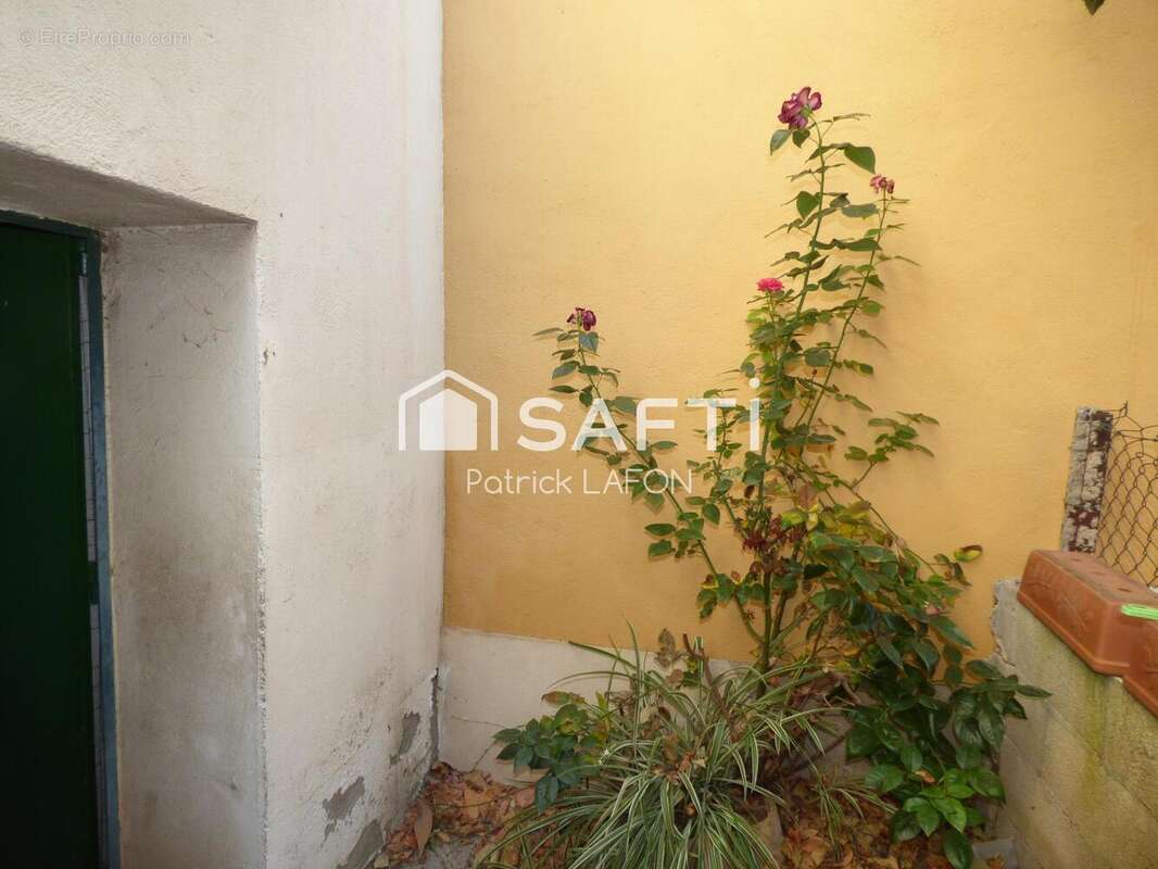 Photo 4 - Maison à SAINT-ANDRE-DE-SANGONIS