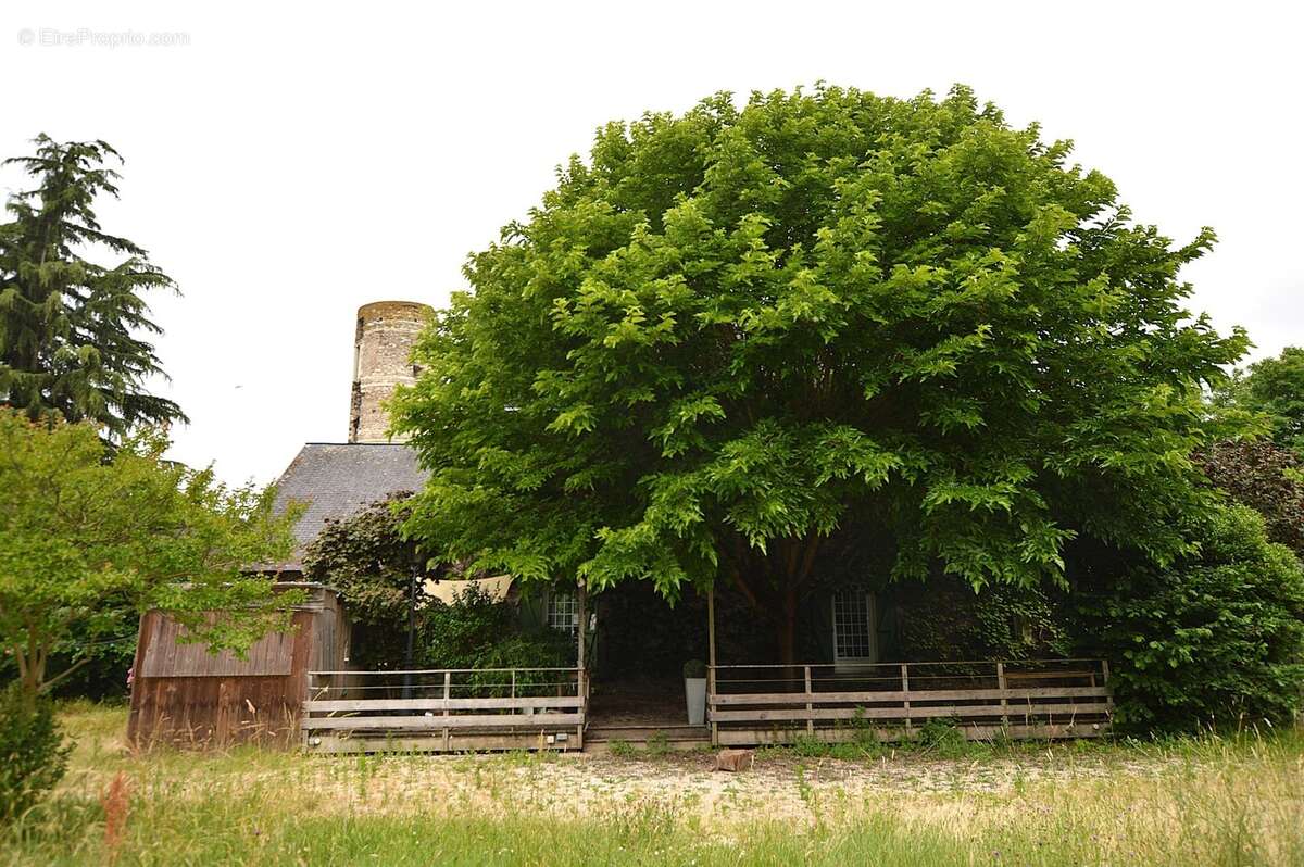 A vendre  belle Batisse a valoriser 7 pièces  Loire Layon Aubance (49) - photo 5