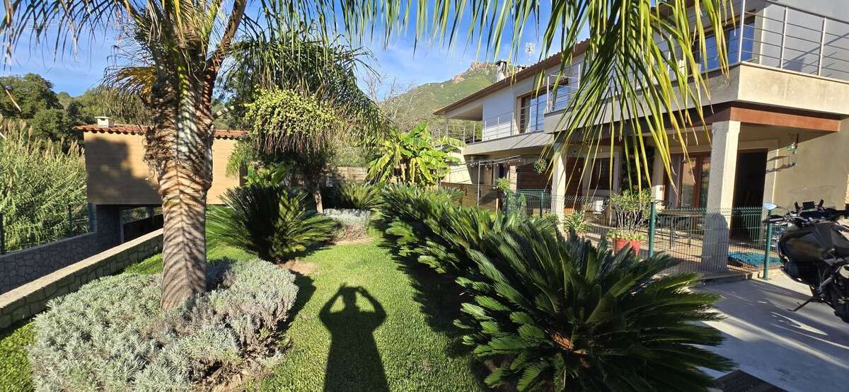 Maison à BASTELICACCIA