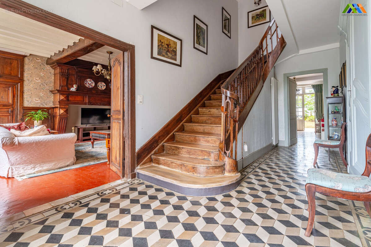 550 m² à Hagetmau  - photo 5
