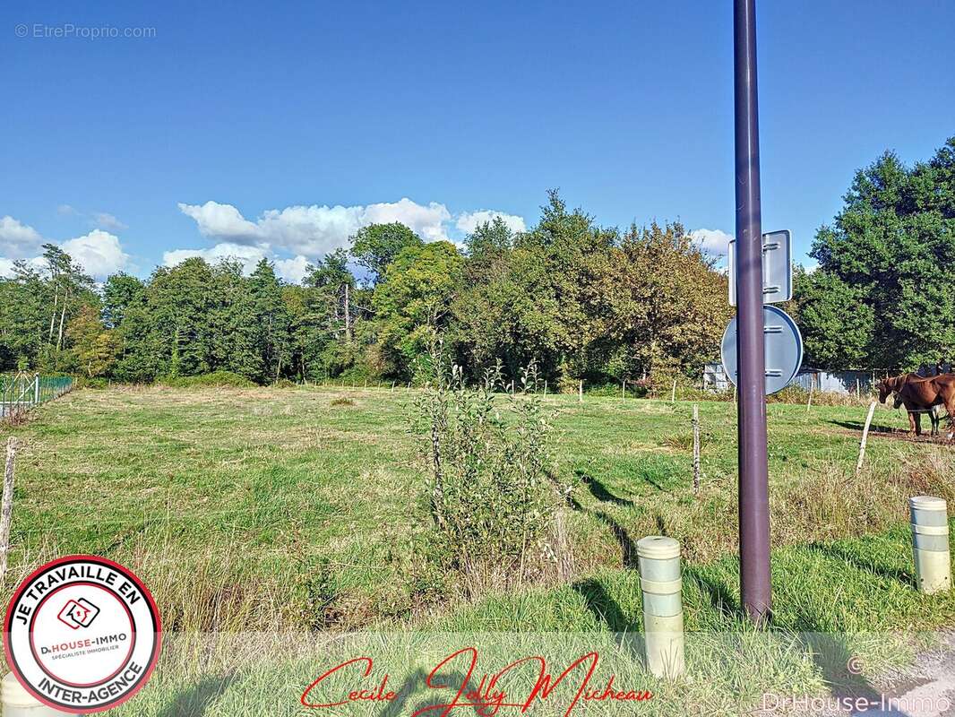 Terrain à CARTELEGUE