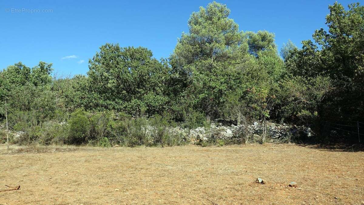 Photo 2 - Terrain à SAINT-MAXIMIN-LA-SAINTE-BAUME