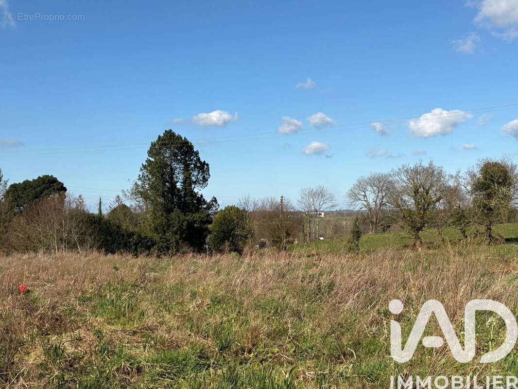 Photo 2 - Terrain à CAOUENNEC-LANVEZEAC
