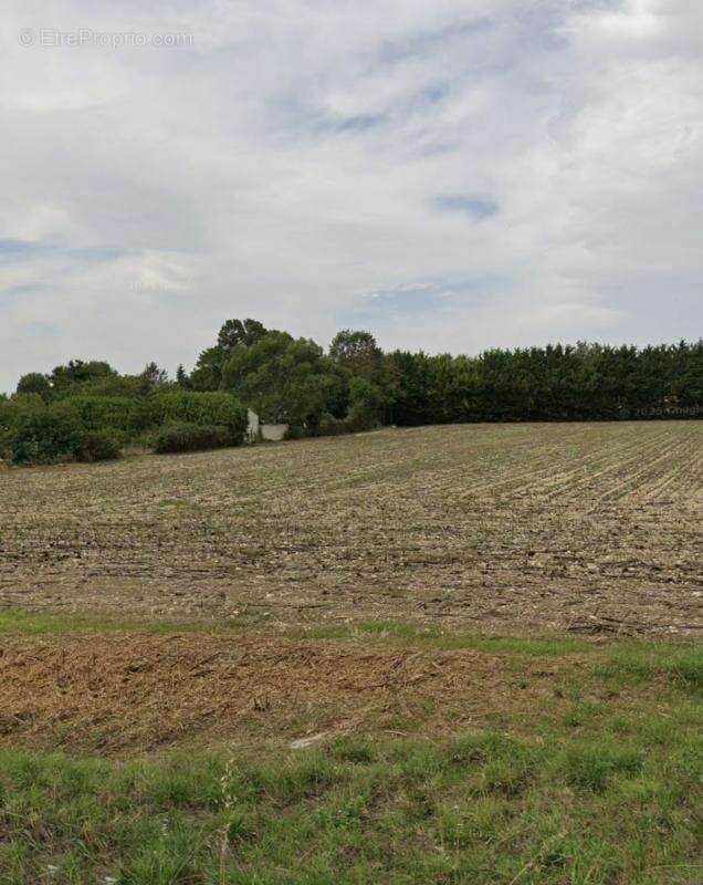 Terrain à LE THOU