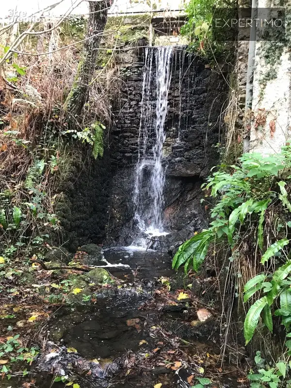 Terre-clapier (tarn)  à 12 min d'albi  moulin historique  gîtes  lac  piscine couverte  potentiel touri - photo 35