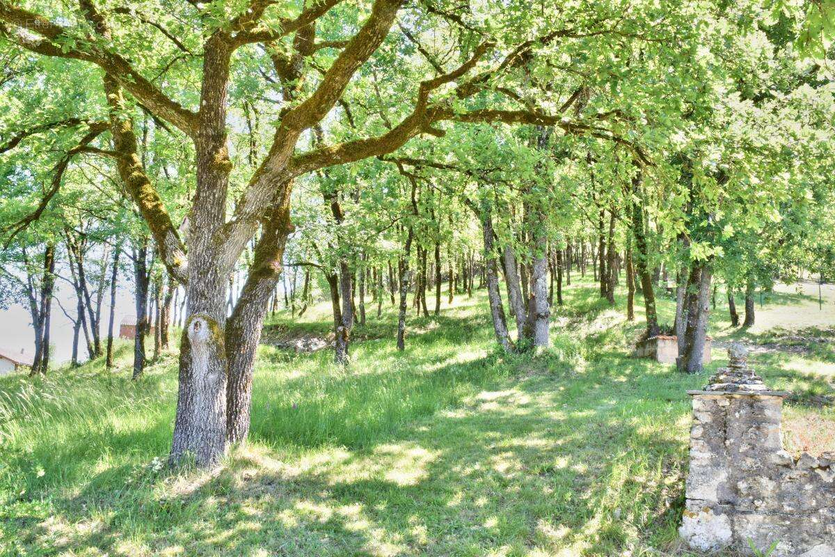 Maison à CONDAT-SUR-VEZERE