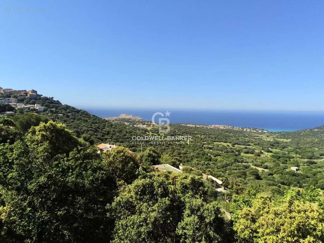 Terrain à MONTICELLO