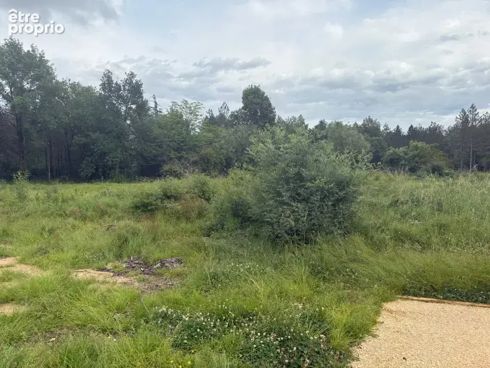 Terrain 1 270 m² à vendre à Villematier (31340) - photo 4
