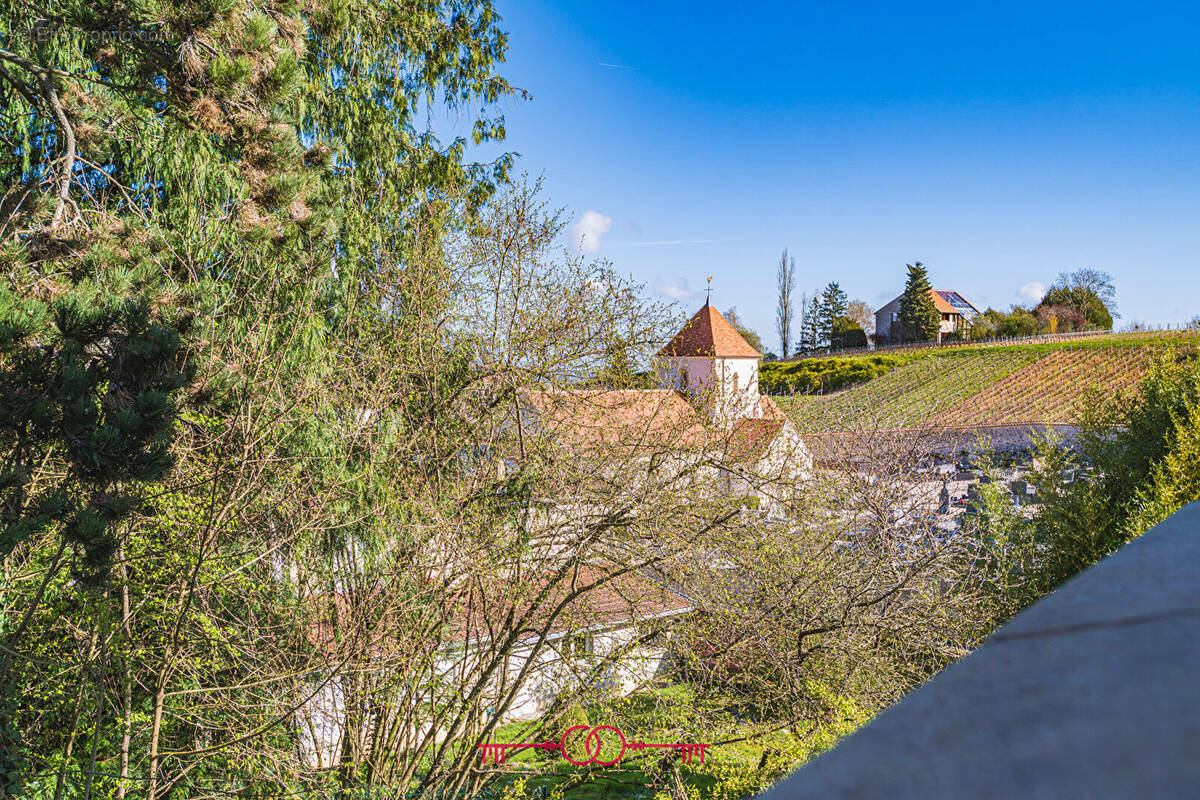Maison à MAILLY-CHAMPAGNE