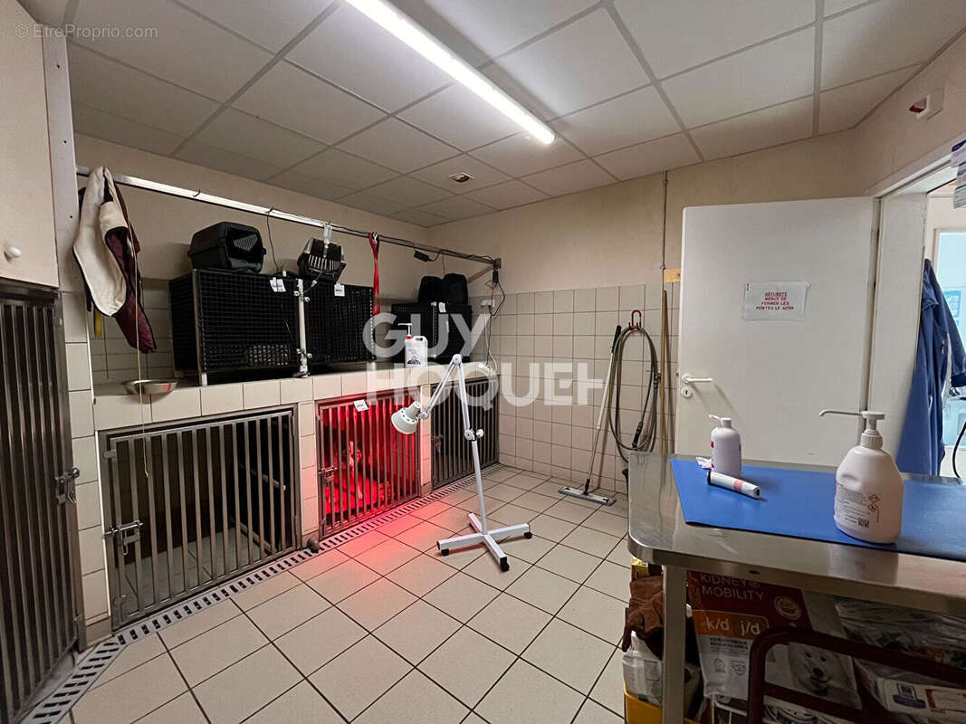 Commerce à SAINT-SEVER