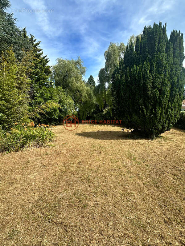 Individuelle sur 2990 m2 - photo 2