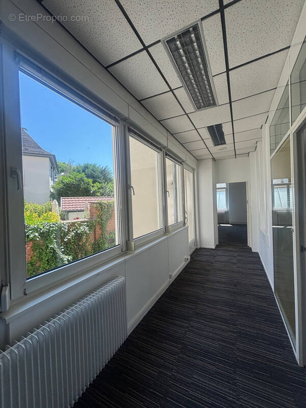 Commerce à STRASBOURG