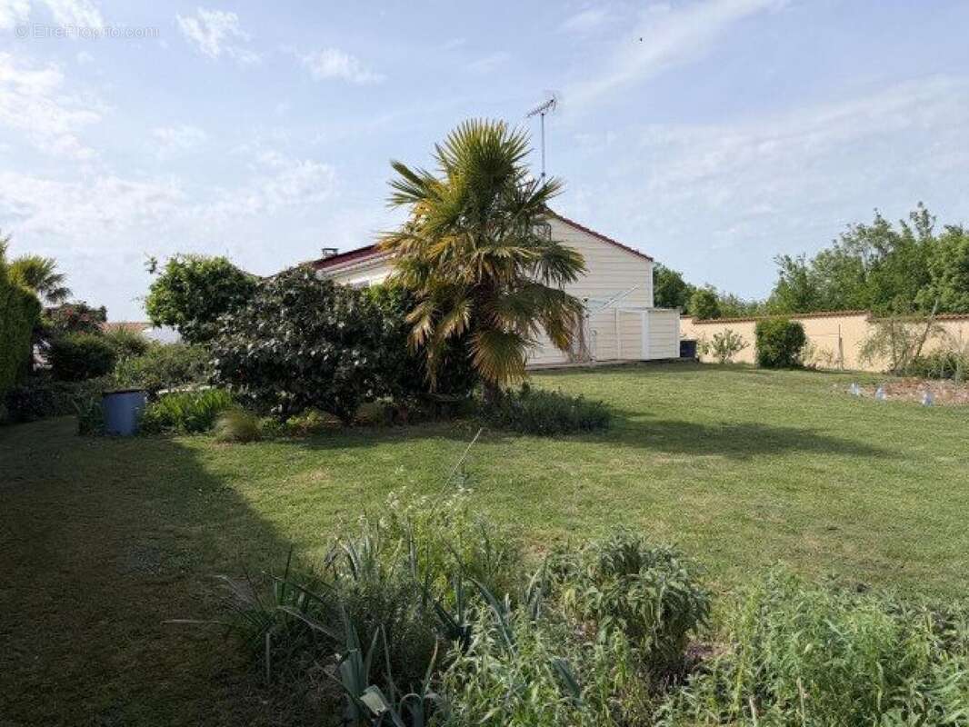 Photo 5 - Maison à TALMONT-SAINT-HILAIRE