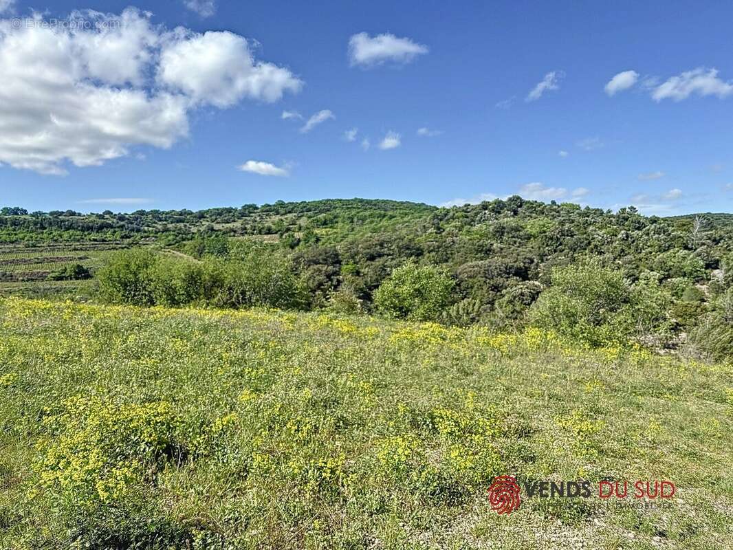 Maison à CLERMONT-L'HERAULT