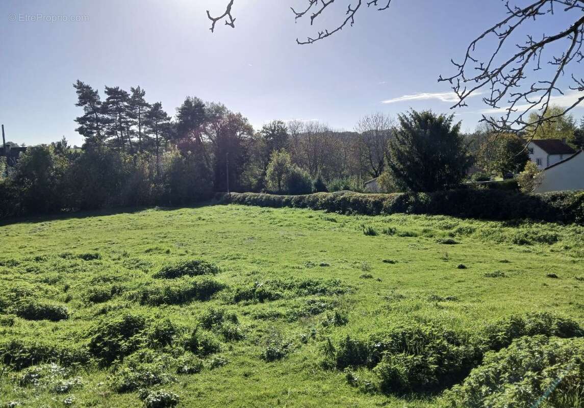 Terrain à bâtir de 1000 m² à SANSAC-DE-MARMIESSE (15) - photo 2